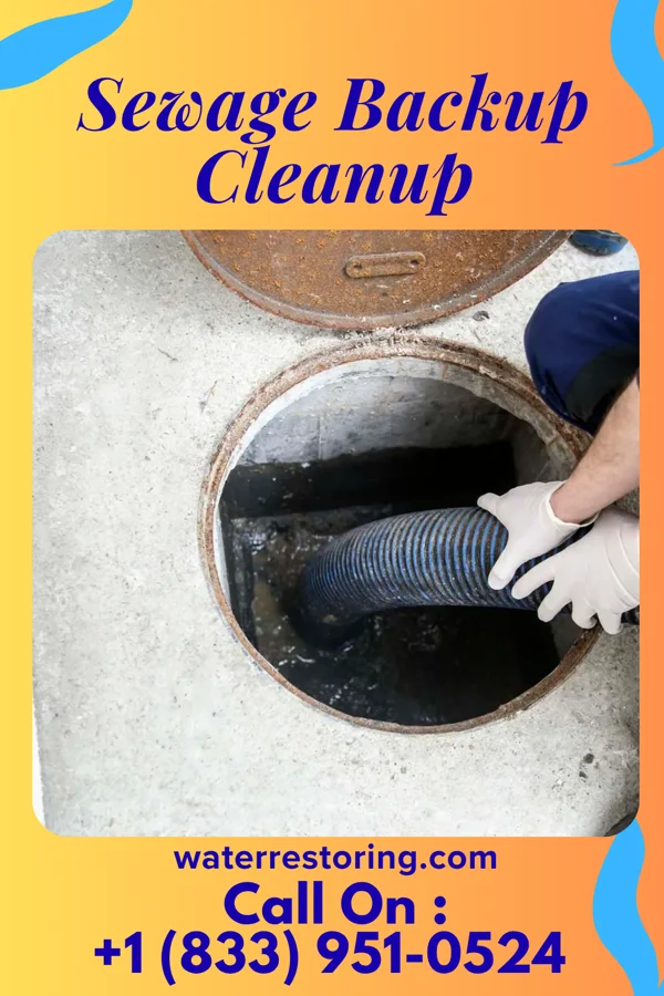 Sewage Backup Cleanup in Marengo, IA